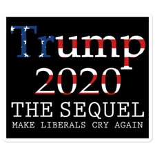 Trump 2020 Election President Sticker Decal Vote Make Liberals Cry Again MAGA