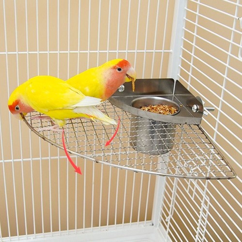 Tasses dalimentation pour oiseaux mangeoire pour perroquets suspendues vendre bols deau avec plate-forme et perchoir
