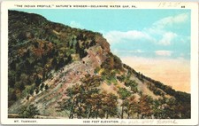 1925 Vintage Postcard "The Indian Profile" Mt Tammany Delaware Water Gap PA