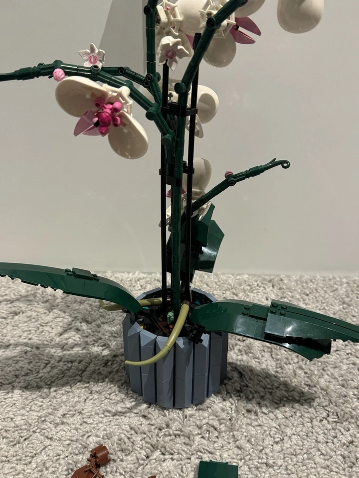 LEGO Botanicals 10311 Orchid, Foto 2 von 5