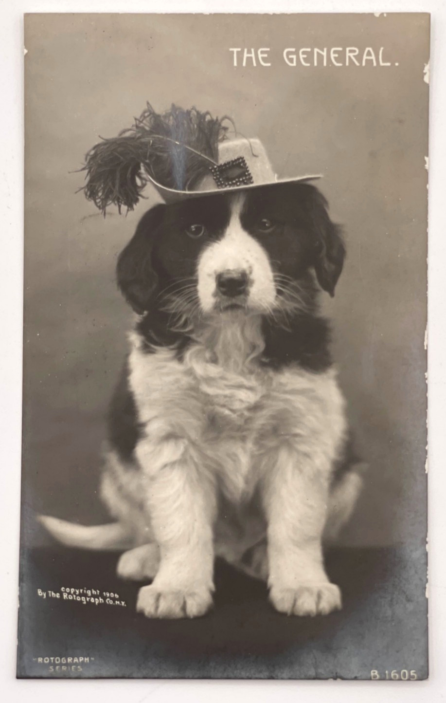1907 Rotograph RPPC Dog in Hat “The General” Real Photo Postcard