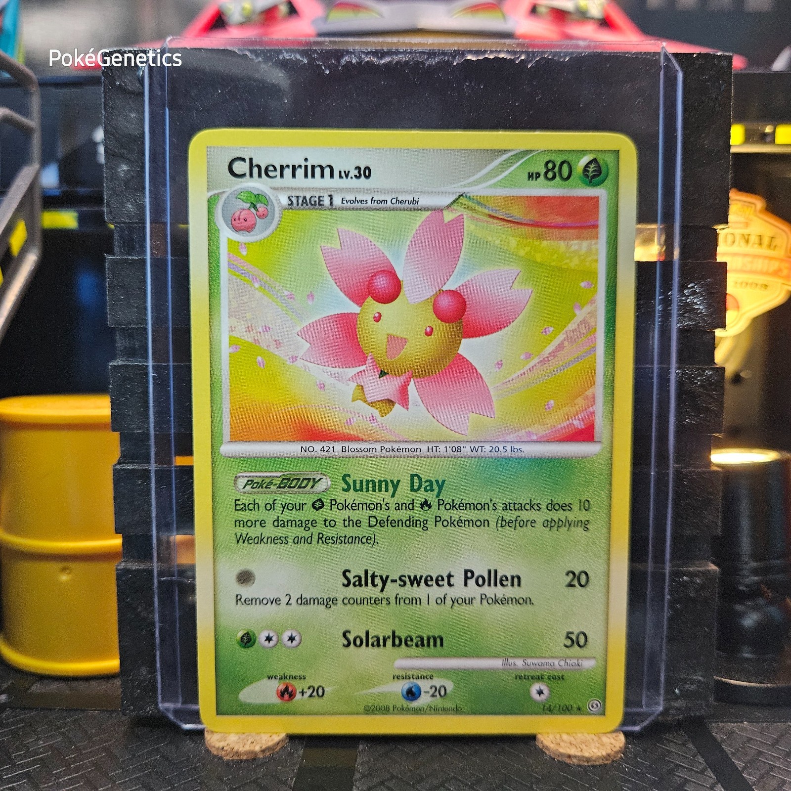 Cherrim Stormfront Pokémon TCG 14/100 Diamond & Pearl Rare