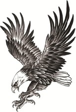  Free Duty Tax AKOAK 2 Pcs Eagle Tattoo Sticker Waterproof Temporary Tattoo