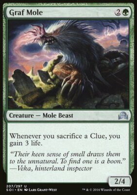 Magic the Gathering MTG Graf Mole (207) Shadows over Innistrad   LP