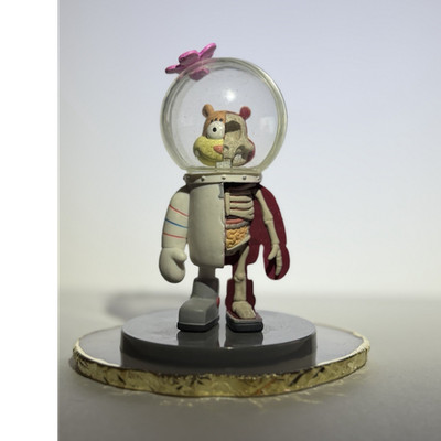 SpongeBob SquarePants Sandy Cheeks Dissected Anatomy Cartoon Figure Multicolor