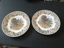 QUEEN’S Myott Factory Thanksgiving 10” TURKEY Dinner Plates (Set of 2)