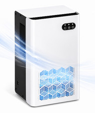Large Dehumidifier for Home, Covers Up to 100...