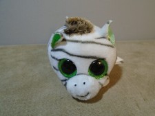 Zilla the Zebra - Teeny Tys - Beaniepedia