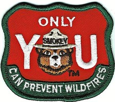   Official Smokey Bear ONLY YOU PREVENT WILDF...