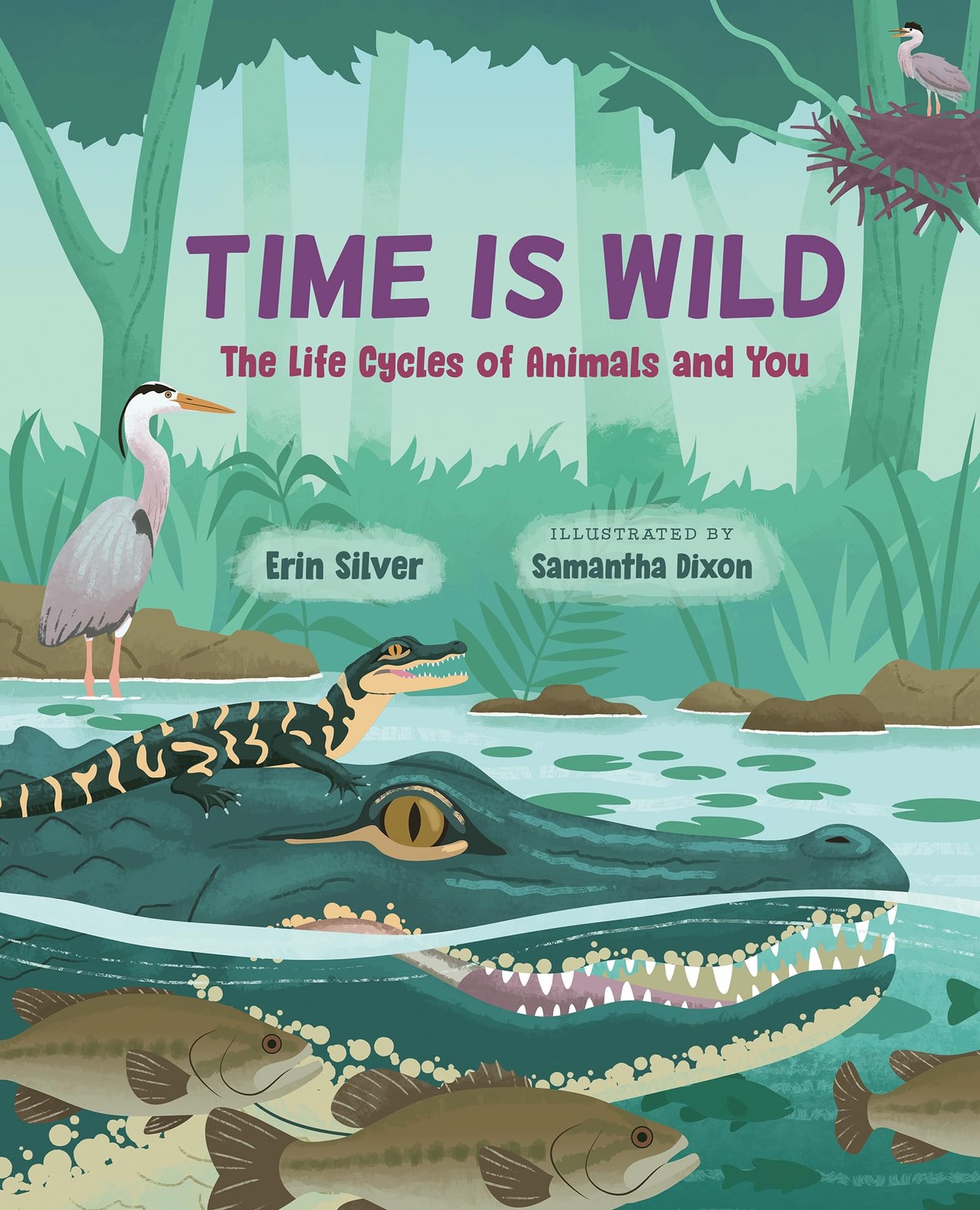 Time Is Wild : The Life Cycles Of Animals And You Erin Silver - Image 4