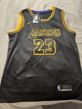 Nike NBA Los Angeles Lakers LeBron James #23 ...