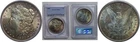 1882 $1 Morgan Silver Dollar Rainbow Toned PCGS MS64