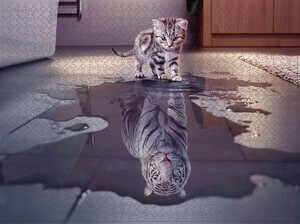 rompecabezas de animales para adultos