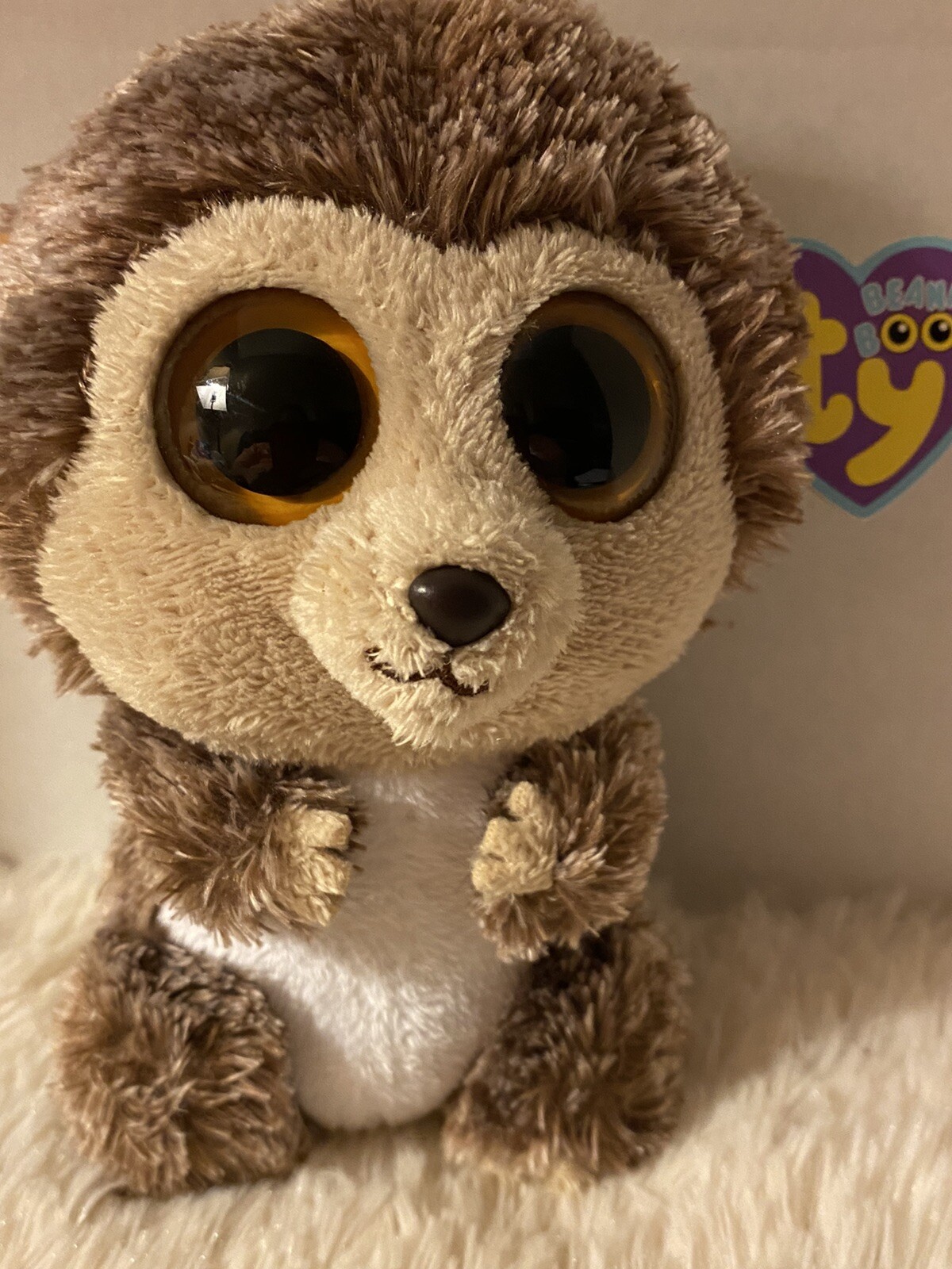 ty beanie baby spike hedgehog