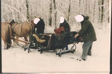 Vintage, gro&szlig;er antiker Pferdeschlitten, Original um 1920