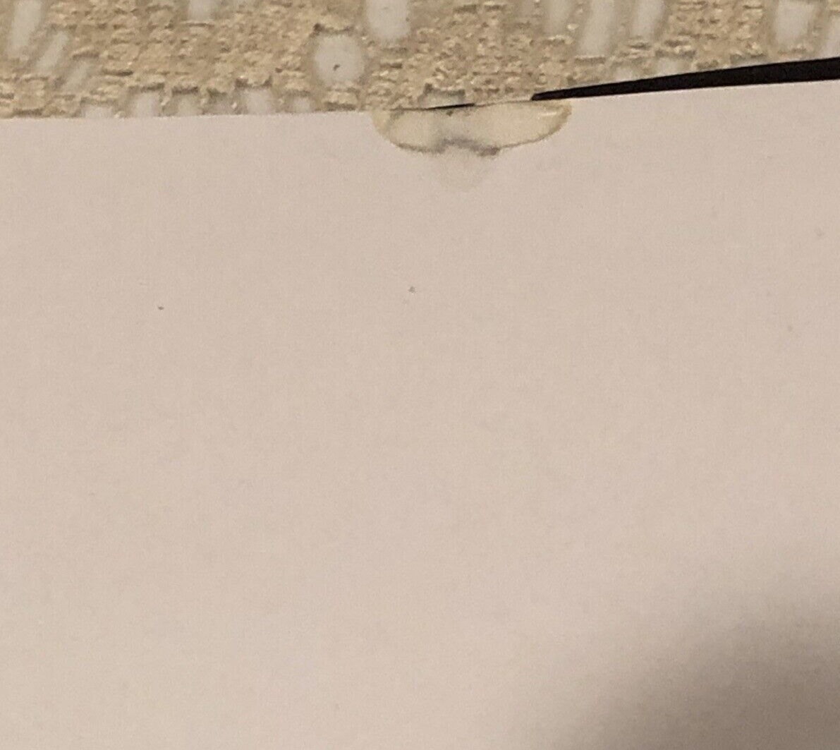 Picture 12 of 20