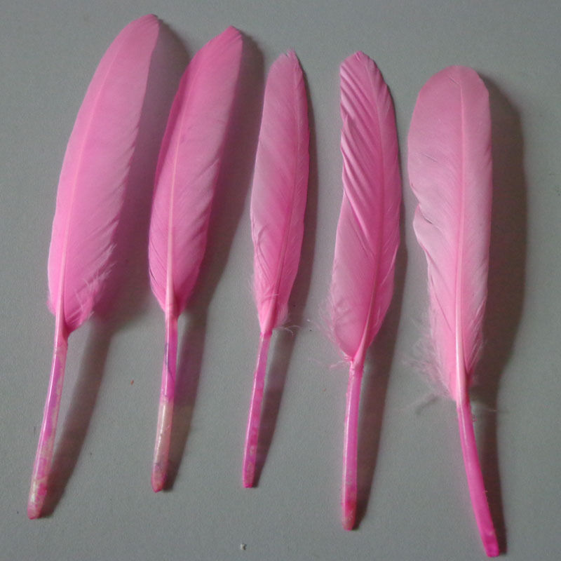 Wholesale 100/500/1000/2000PCS 10-15cm/4-6inches Beautiful Goose Feather DIY Speciale prijs voor het nieuwste product