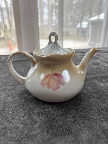 SPLENDIDA TEIERA RS PRUSSIA PICCOLA CON COPERCHIO CON DECORAZIONE FLOREALE MISTA - Foto 3 di 6