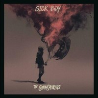 The Chainsmokers-Sick Boy