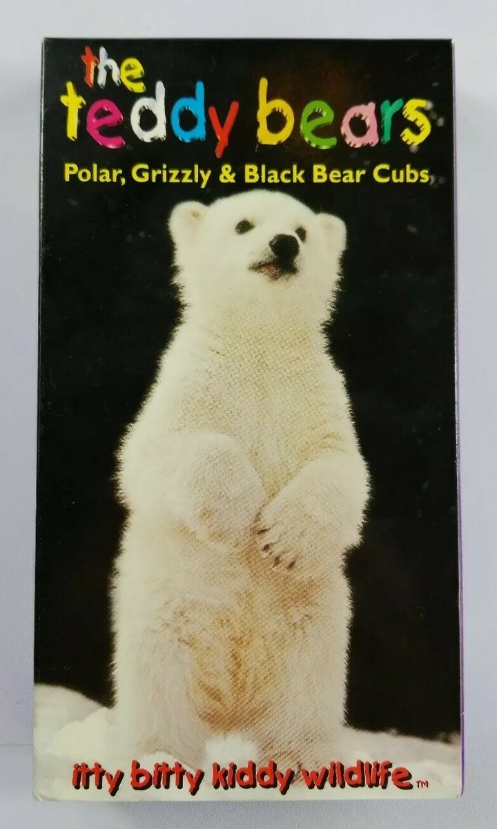 The Teddy Bears VHS Polar Grizzly and Black Bear Cubs Itty Bitty