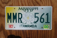 One or More - REAL Mississippi Large Magnolia Flower Yellow Green Graphic Licens