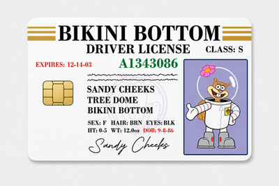 Sandy Bikini Bottom Gang License Debit Card Skin Credit Card Skin Sticker