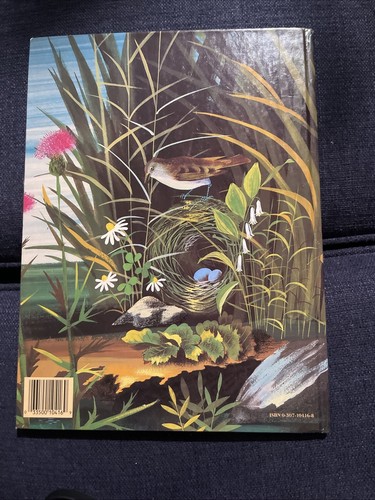 The Golden Bunny by Margaret Wise Brown (Big Golden Book, 1981) - Picture 2 of 4