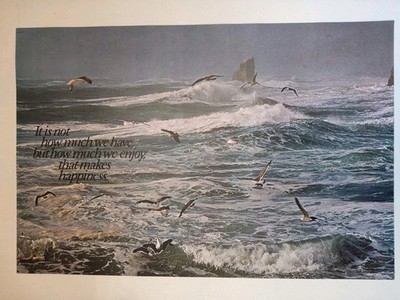 Vtg NOS Argus Poster 1975 Ocean It is not how much we have, but how much enjoy