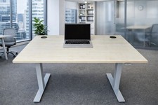 Ergomaster Genius Electric Adjustable Standing Desk