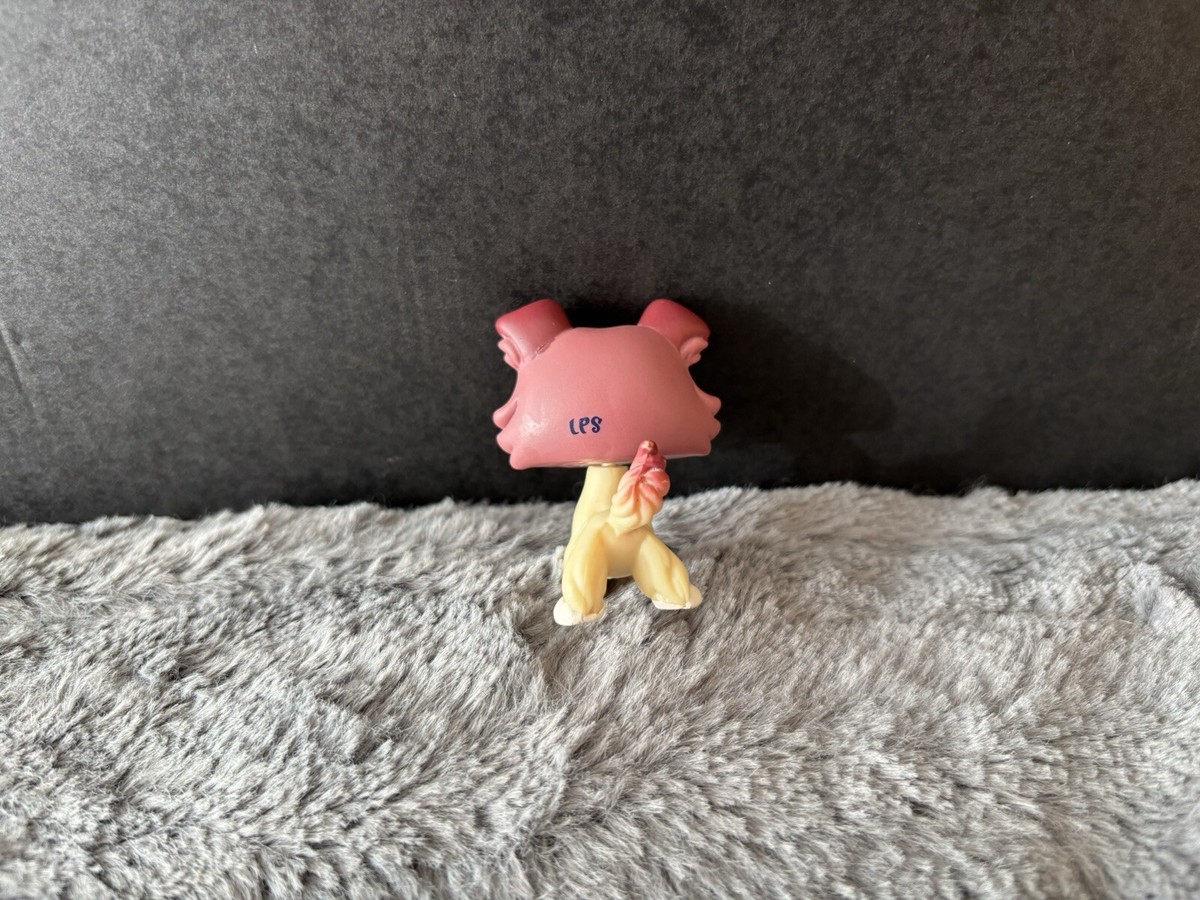 新品未開封 カメ子カメ男 ED20 サイン入り キミに名前をつけてあげなきゃね。 カメ子カメ男 シルクスクリーン キミに名前をつけてあげなきゃね