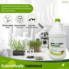 enzyme cleaner products for sale