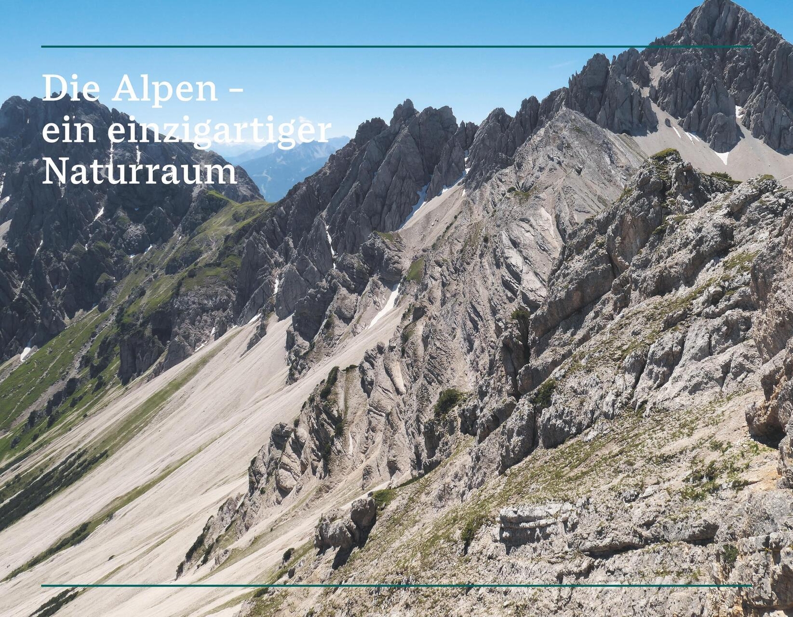 Thumbnail - Der Illustrierte Naturführer Alpen Thomas Schauer