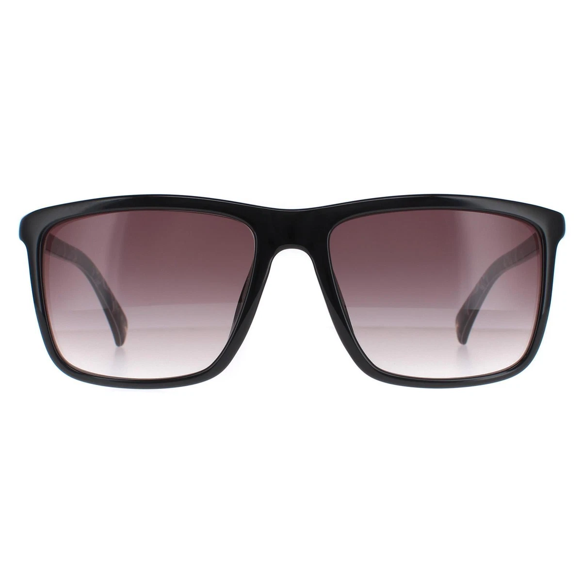 ted baker men sunglasses