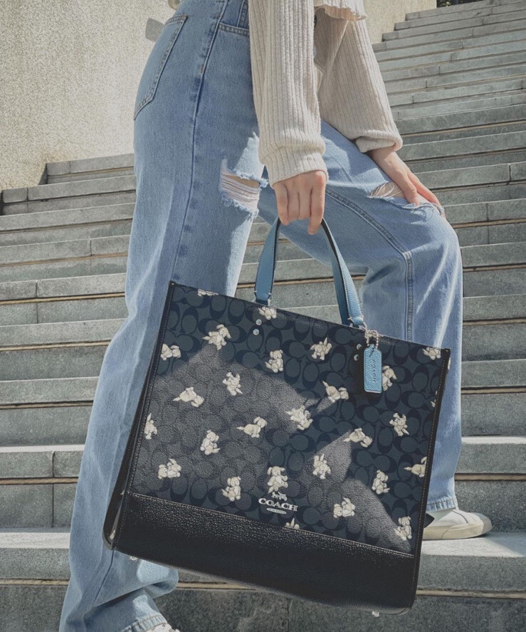 NWT Coach Dempsey Tote 40 In Signature Canvas With Happy Dog Print