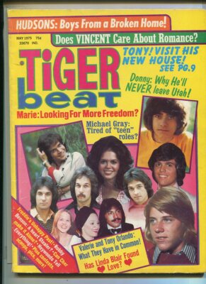 Tiger Beat - Valerie And Tony Orlando Robby Benson Michael Gray  May 1975 MBX58