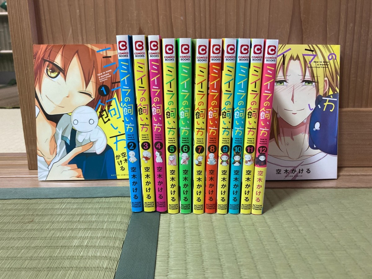 How to keep a mummy 1-13 manga set Japanese comic Miira no