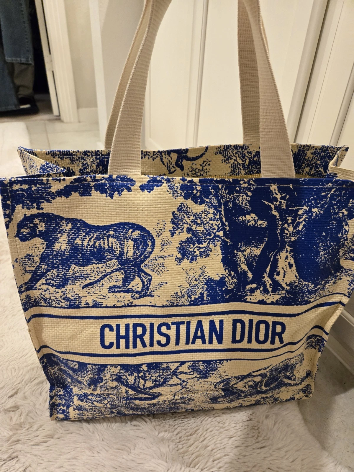 Sac fourre tout Christian Dior DIORIVIERA livre / #02f86f