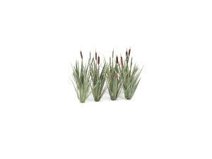 Gaugemaster GM1660 Reeds Pk16 OO Gauge