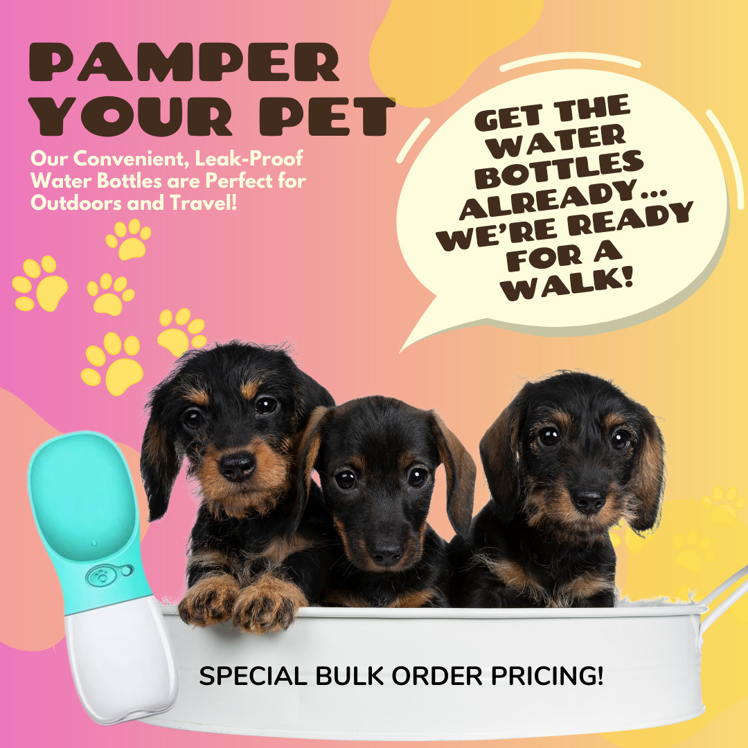 Dispenser Bulk Qty 10 | Leak-proof, Great For Outdoors & Travel