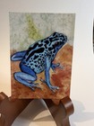 ACEO Tropical Blue splash Frog Print — photo 2