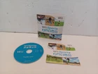 WI SPORTS NINTENDO  USED COMPLETE TESTED & WORKING FREE SHIPPING