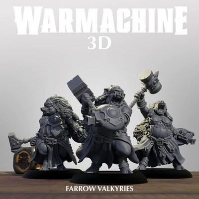 Warmachine Thornfall Alliance FARROW VALKYRIES 3d Printed