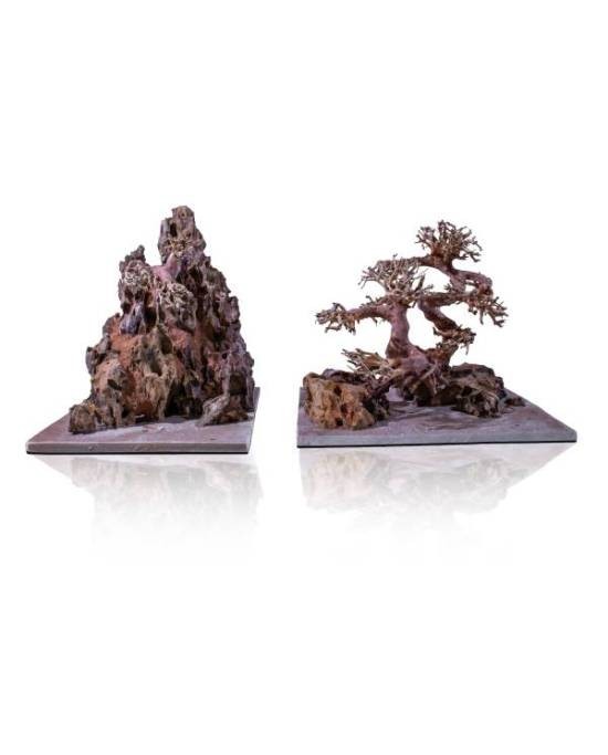 Bonsaï S Aquavie Aquanature décor naturel nano aquascaping racine bois aquarium