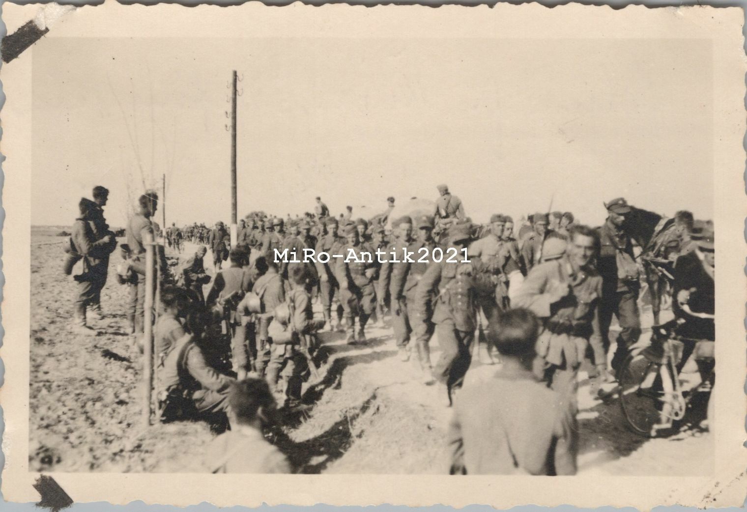 Bild 1 - Foto, polnische Kriegsgefangene auf dem Marsch in Polen 1939 (N)50380