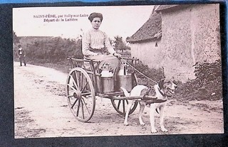 Rare postcard St FERE Sully sur Loire Departure from Laitière by dog car