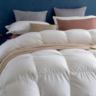 Premium Feathers Down Duvet Insert Comforter Queen All Season Medium Weight — photo 8