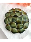 Green Enameled Foliage XL 80's Vintage Costume Jewelry Brooch | Lapel Pin