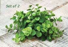 Set of 2 - Green Eucalyptus Candle Taper Rings - 1" Inner Opening