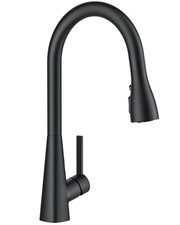 FORIOUS Kitchen Faucet with Pull Down Sprayer, Classic Black, 4 Matte Black