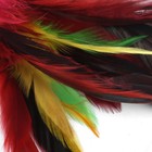 Bild 8 von 12